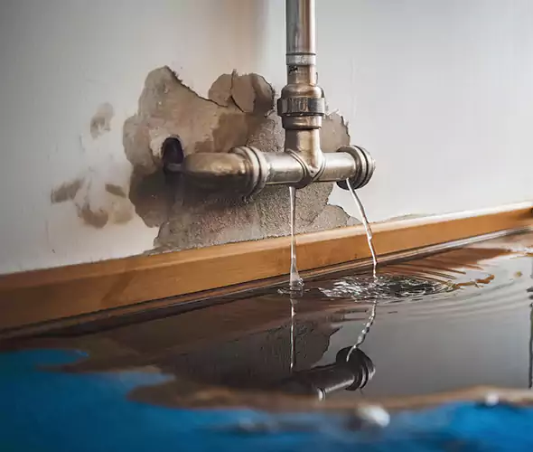 Professional Water Damage Restoration Experts in Hemet, CA — Fast, Reliable & Certified