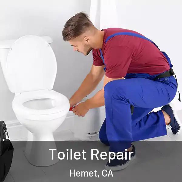  Toilet Repair Hemet, CA